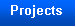 Text Box: Projects